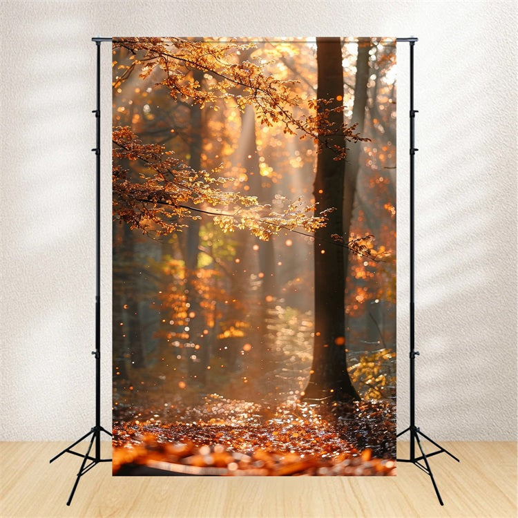 Automne Toile de Fond Forêt Rayons de Soleil Scintillants BRP10-263