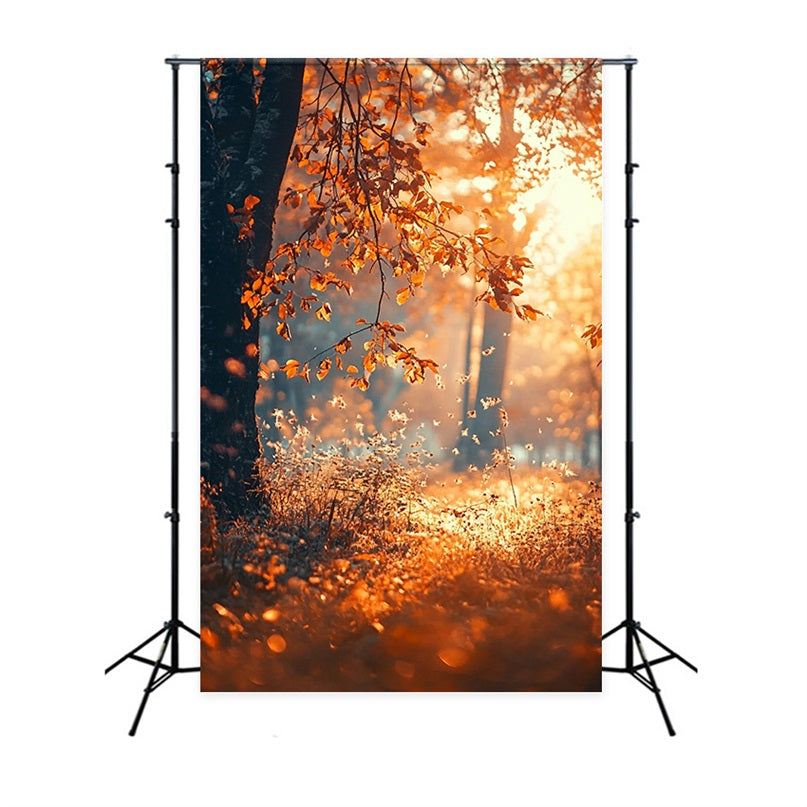 Automne Toile de Fond Rayons de Soleil Arbres Photographie BRP10-265