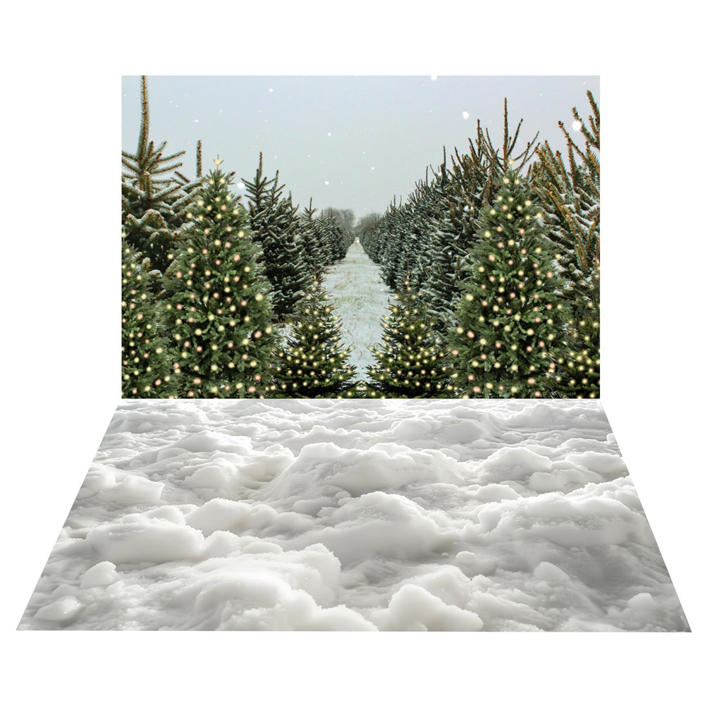 Toile de Fond de Sentier de Forêt de Sapins Hivernaux + Sol de Couche de Neige BRP10-467