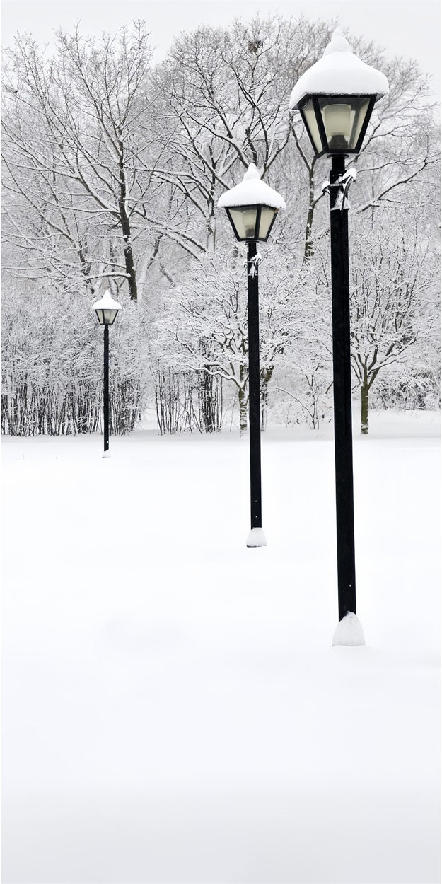 Mur-à-Sol Toile de Fond Lampadaire Hivernal Scène de Neige BRP10-519