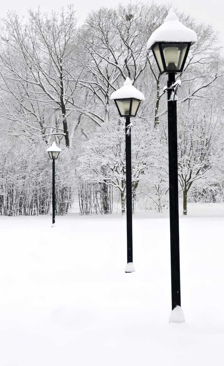 Mur-à-Sol Toile de Fond Lampadaire Hivernal Scène de Neige BRP10-519