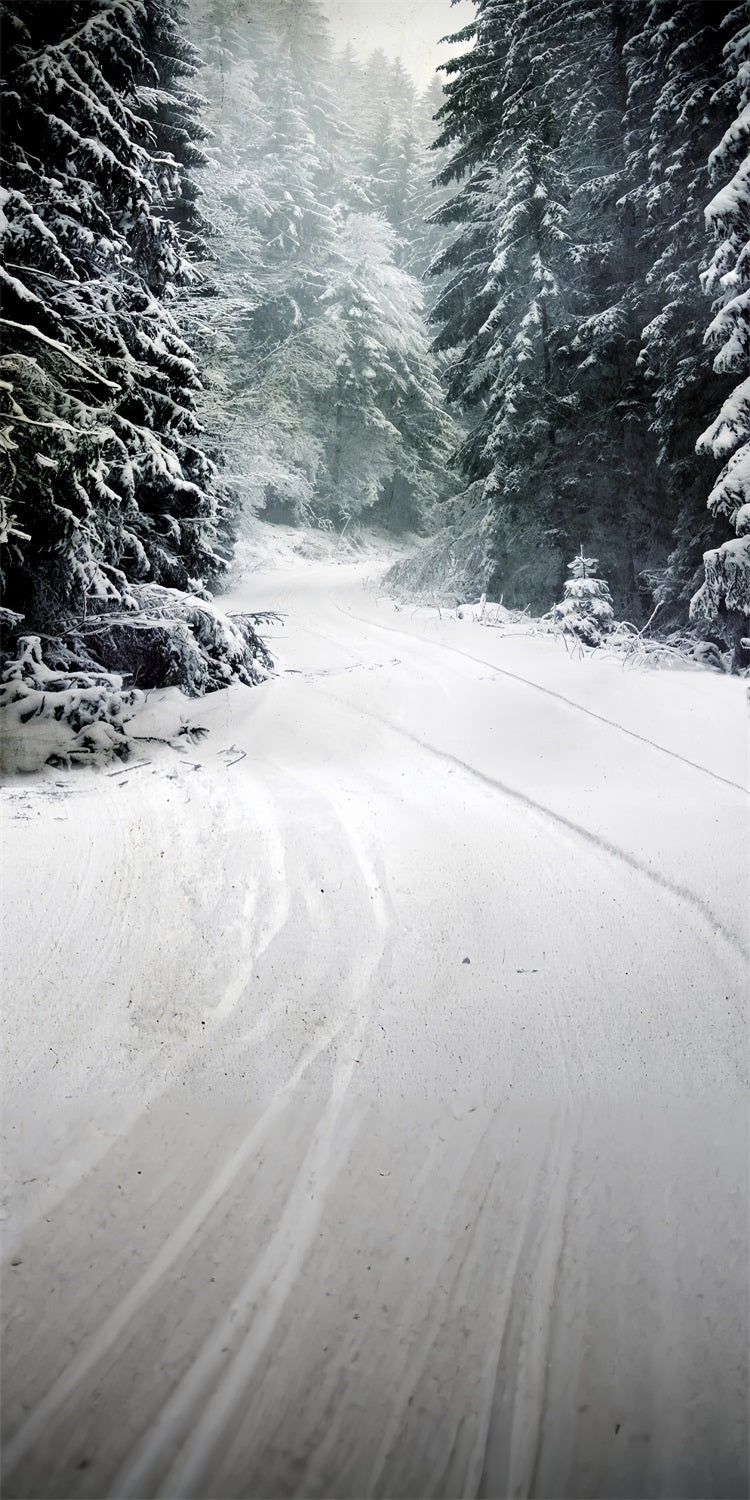 Mur-à-Sol Toile de Fond Forêt d'Hiver Chemin de Neige Serein BRP10-520