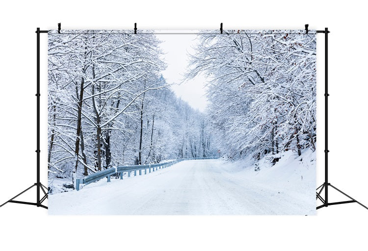 Toile de fond Chemin Vers la Forêt Givrée Hiver BRP11-10