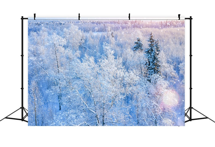 Toile de fond Hiver Photographie Forêt Neige Scintillante BRP11-12