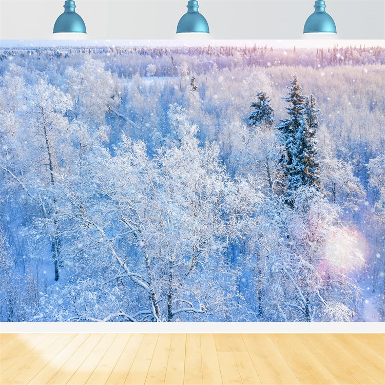 Toile de fond Hiver Photographie Forêt Neige Scintillante BRP11-12