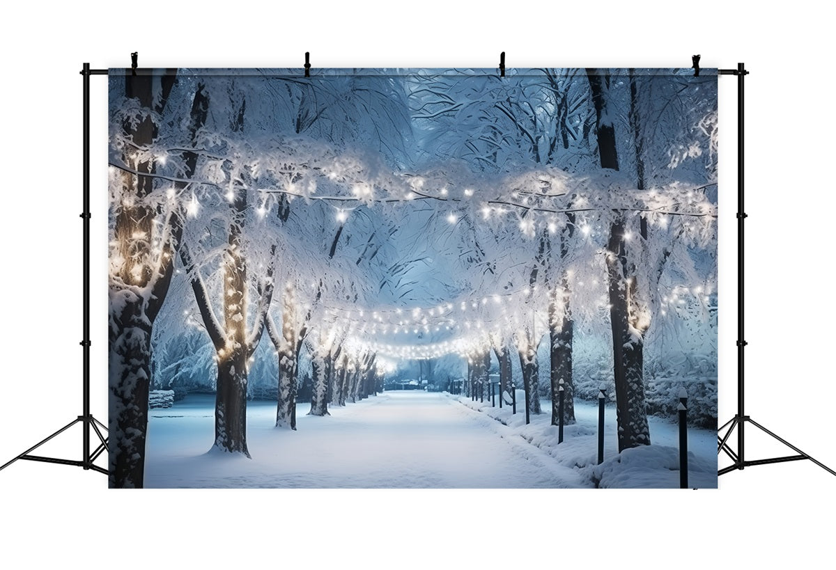 Toile de fond Hiver Chemin Enneigé Lumières BRP11-15