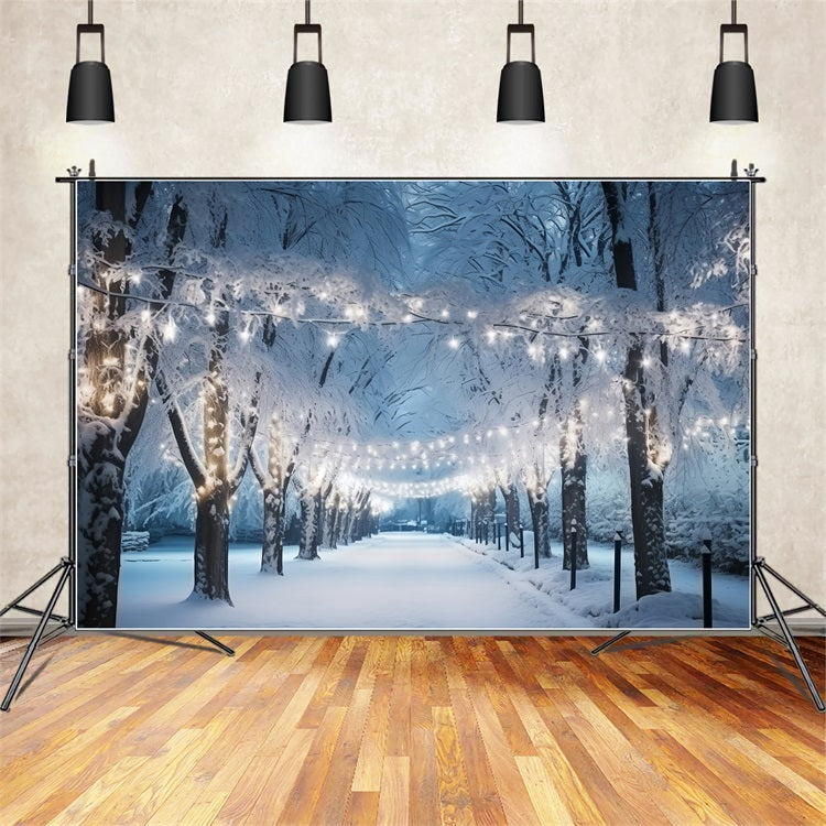 Toile de fond Hiver Chemin Enneigé Lumières BRP11-15