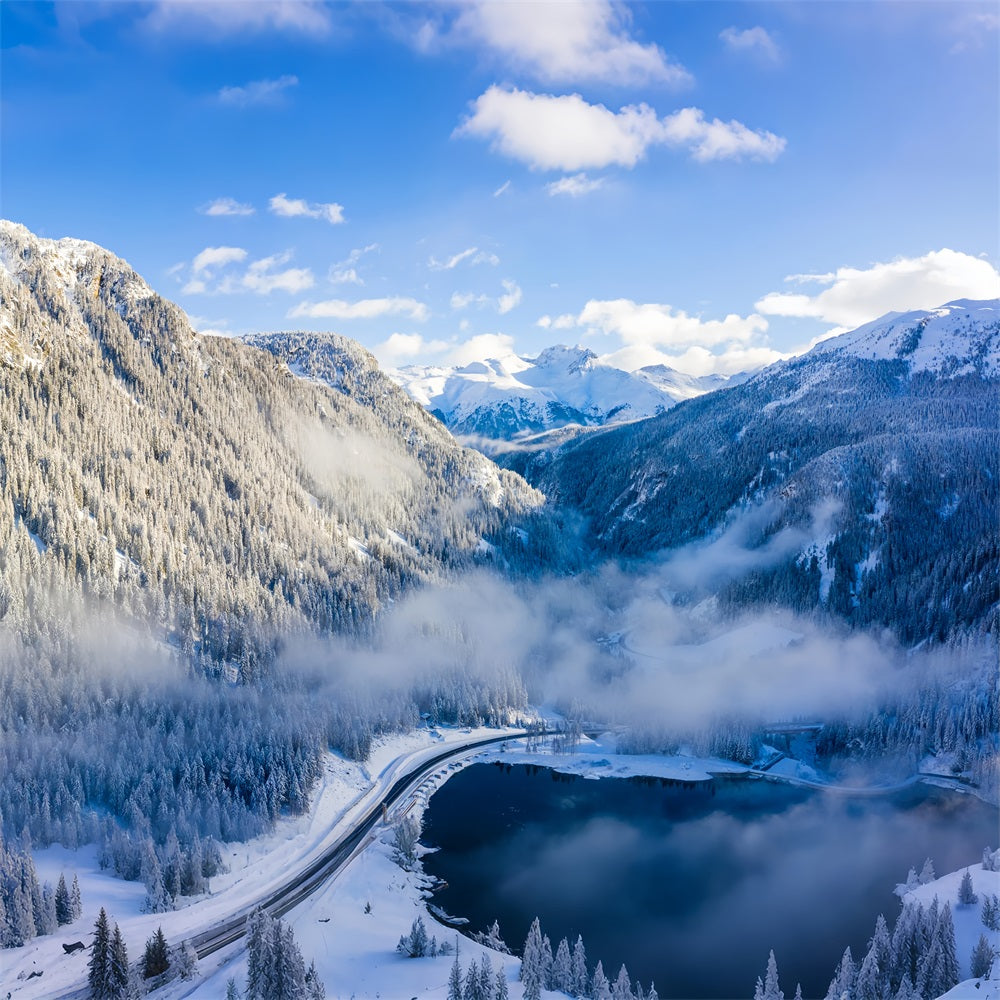 Toile de fond Hiver Vue Aérienne Neige Paysage BRP11-19