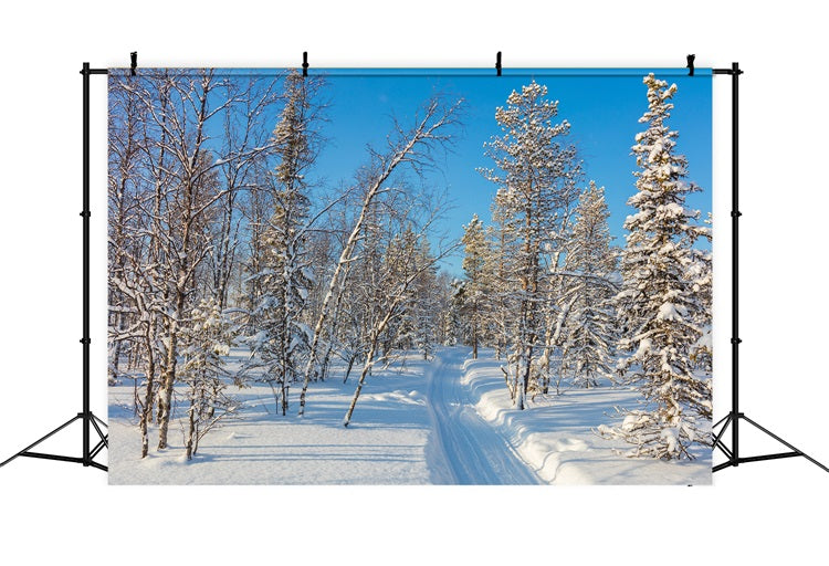 Toile de fond Hiver Photographie Forêt Enneigée Ciel Clair BRP11-2