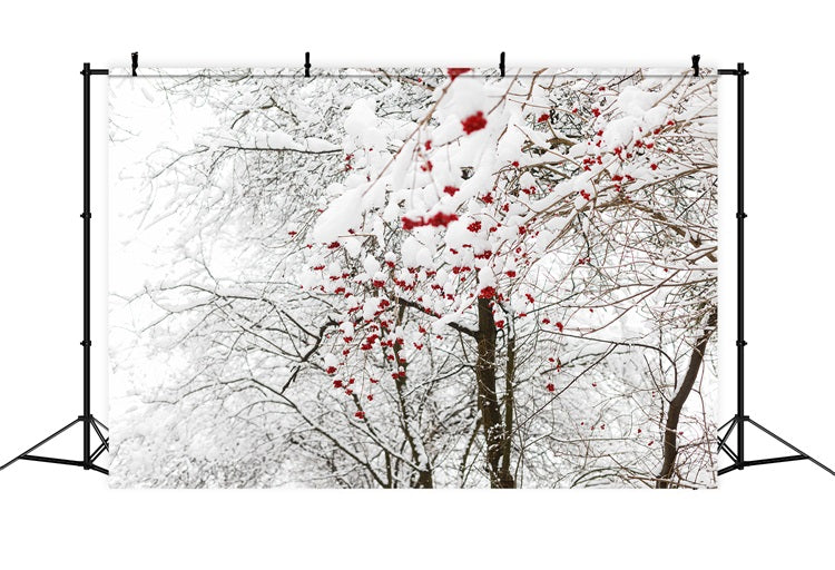 Toile de fond Hiver Baies Rouges Neige BRP11-20