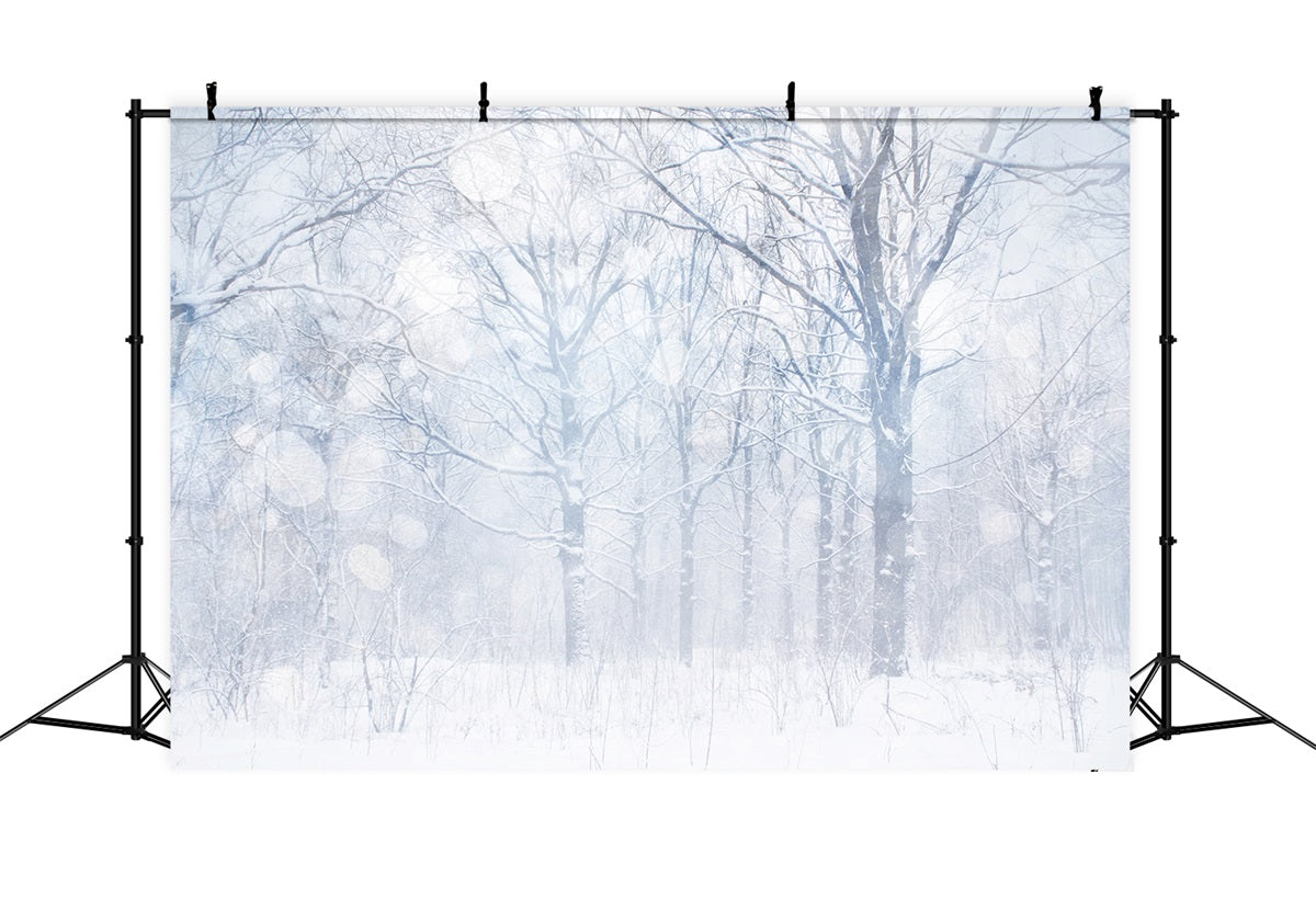 Toile de fond Hiver Bosquet Givré Blanc Argenté BRP11-21