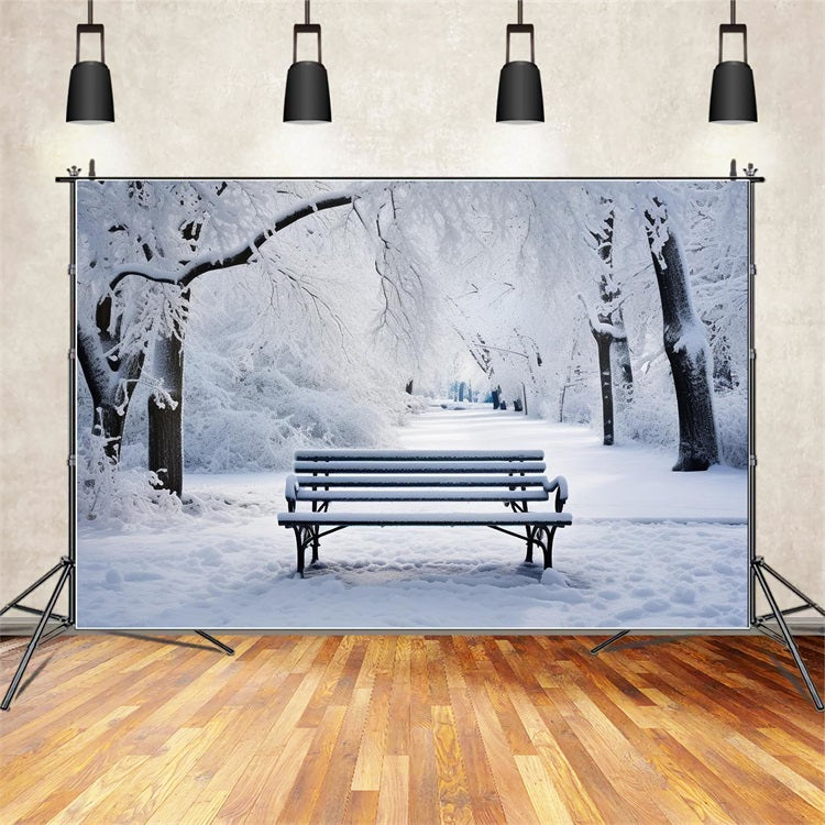 Toile de fond Hiver Scène Parc Banc Enneigé BRP11-23