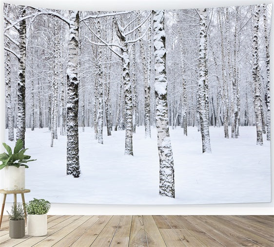 Toile de fond Hiver Paysage Bouleaux Enneigés BRP11-26