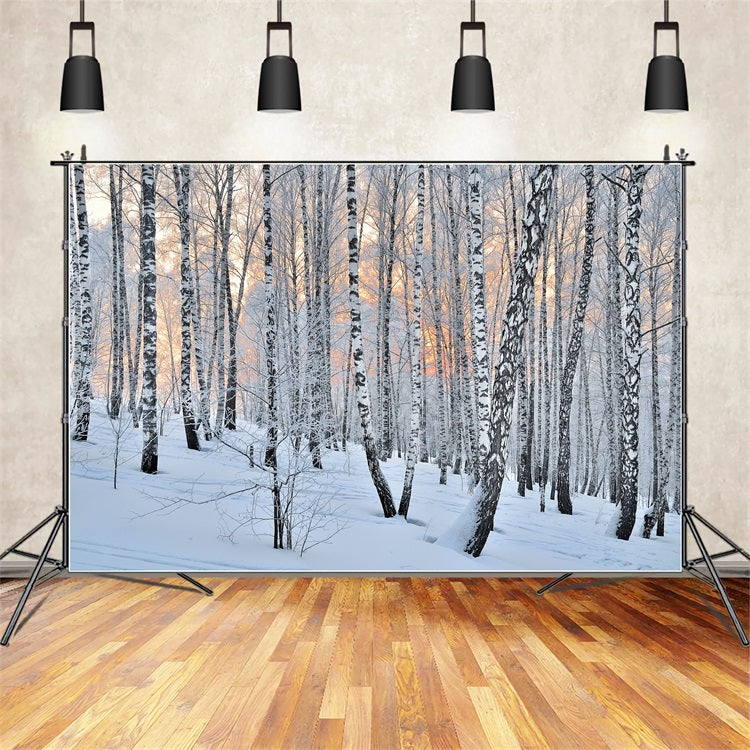 Toile de fond Hiver Crépuscule Forêt Bouleaux BRP11-27