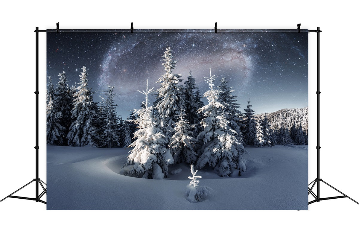 Toile de fond Hiver Nuit Ciel Sapins Givrés BRP11-28