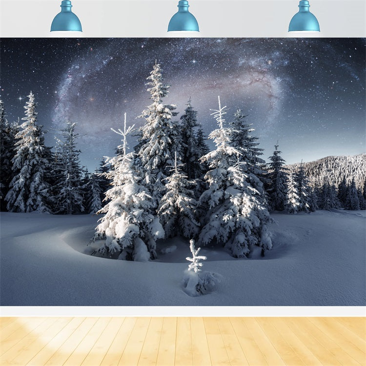 Toile de fond Hiver Nuit Ciel Sapins Givrés BRP11-28