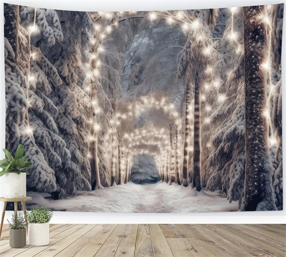 Toile de fond Hiver Merveille Chemin Lumières Neige BRP11-469