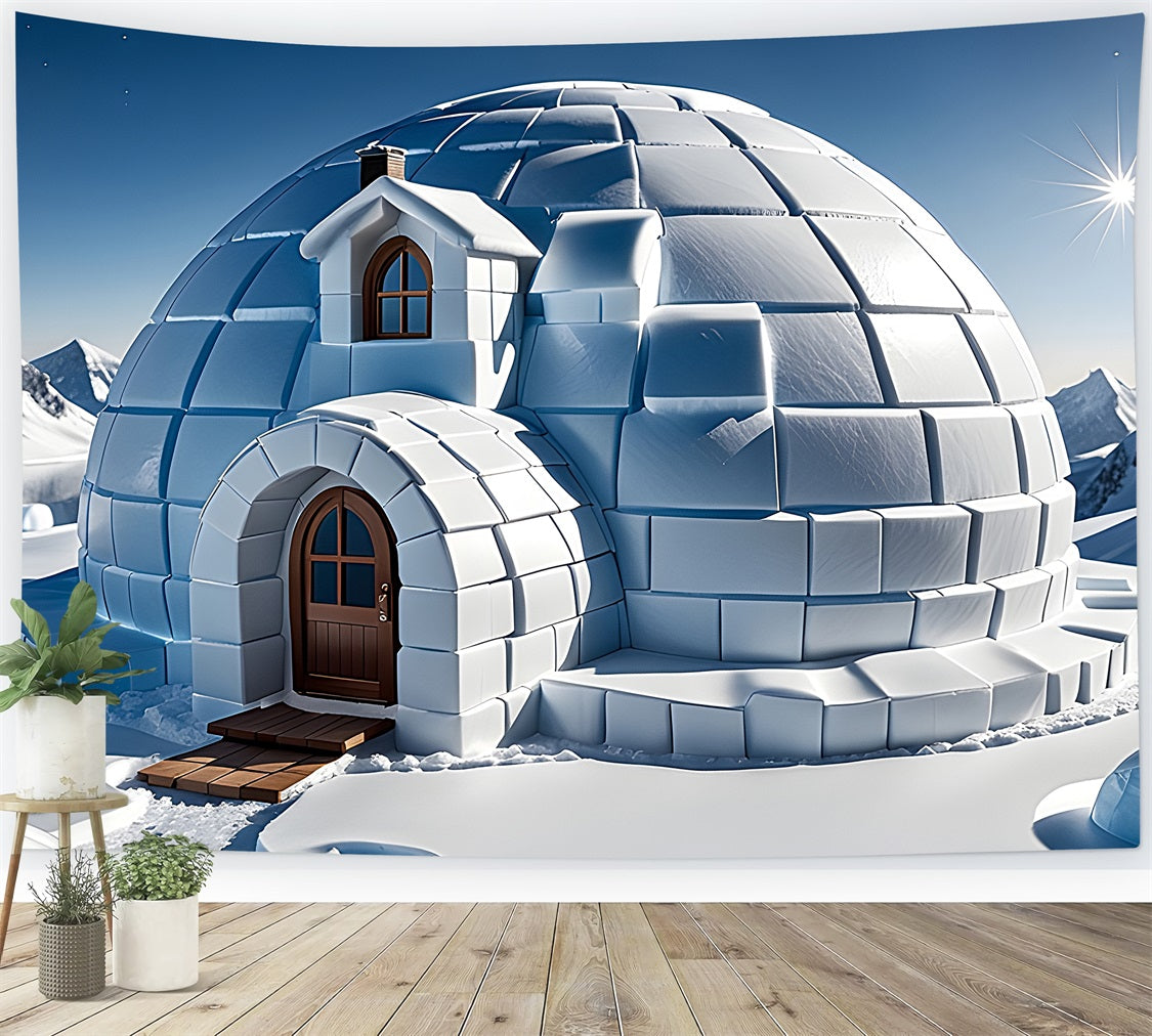 Toile de fond Hiver Igloo Ciel Bleu BRP11-47