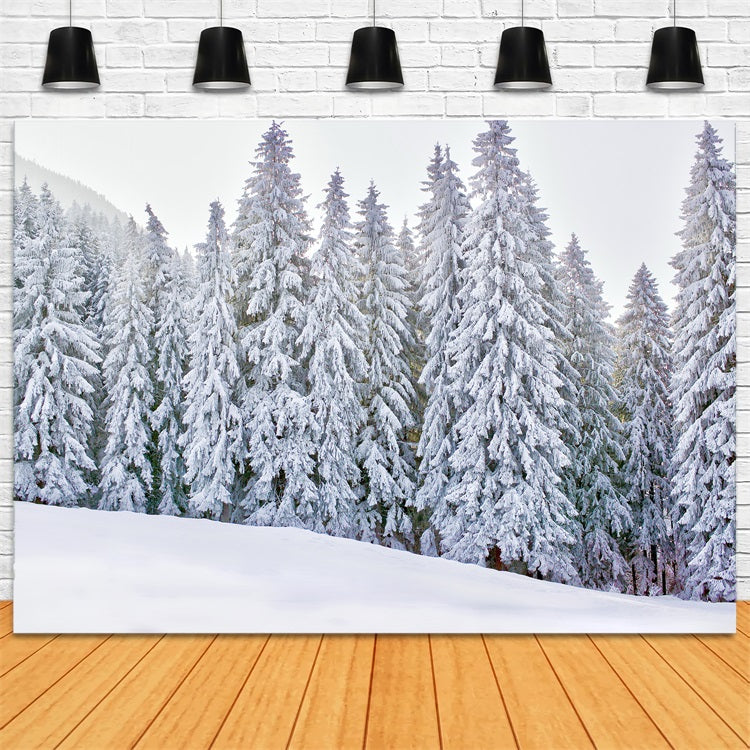 Toile de fond Paysage Enneigé Forêt Hiver BRP11-5