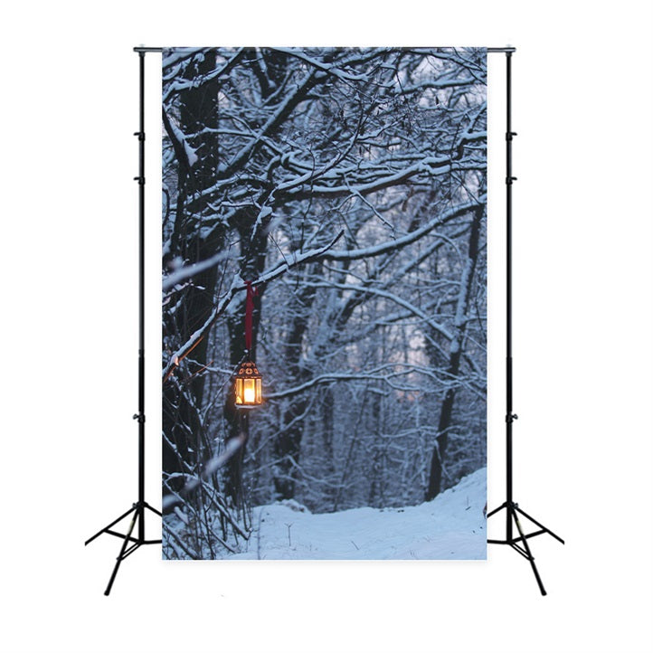 Toile de fond Photographie Hiver Forêt Lanterne Lumineuse BRP11-64