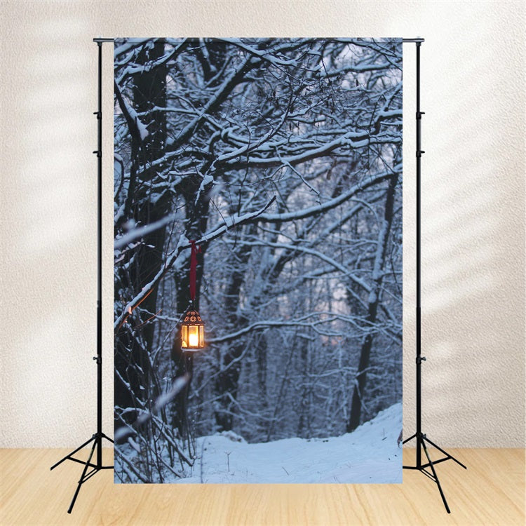 Toile de fond Photographie Hiver Forêt Lanterne Lumineuse BRP11-64