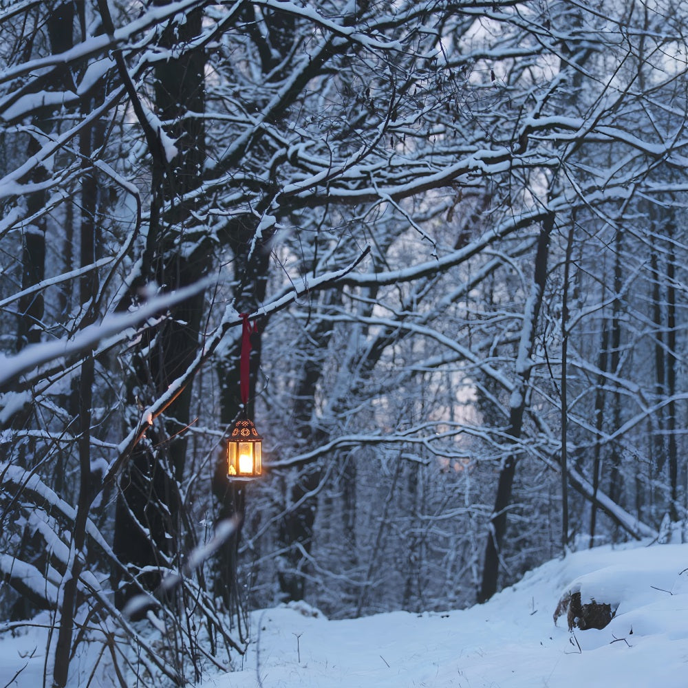 Toile de fond Photographie Hiver Forêt Lanterne Lumineuse BRP11-64