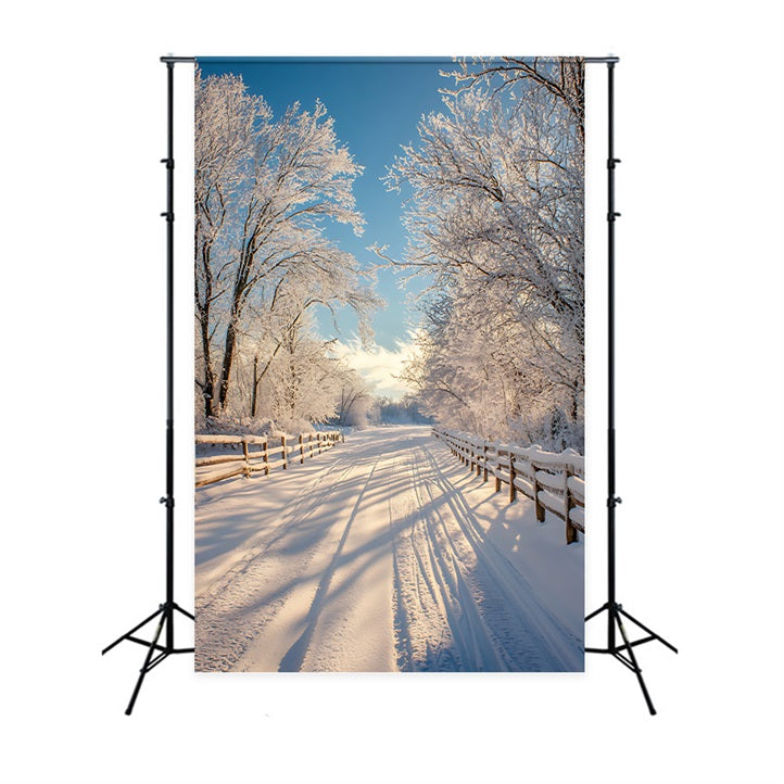 Toile de fond Hiver Paysage Enneigé Chemin BRP11-67