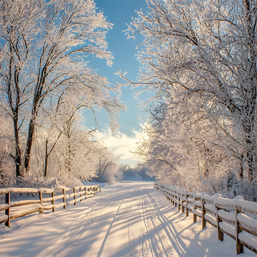 Toile de fond Hiver Paysage Enneigé Chemin BRP11-67