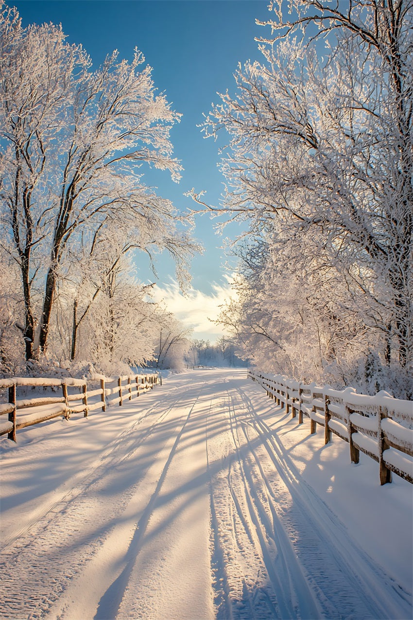 Toile de fond Hiver Paysage Enneigé Chemin BRP11-67