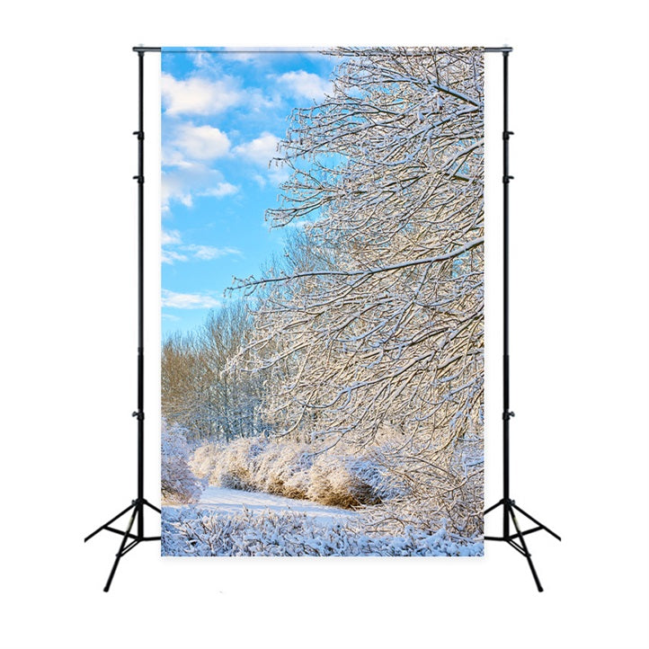 Toile de fond Hiver Branches Givrées Ciel Clair BRP11-68