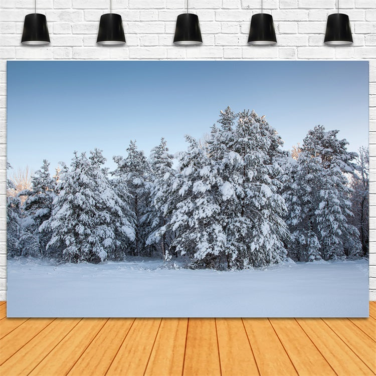 Toile de fond Arbres Verts Neige Hiver BRP11-9