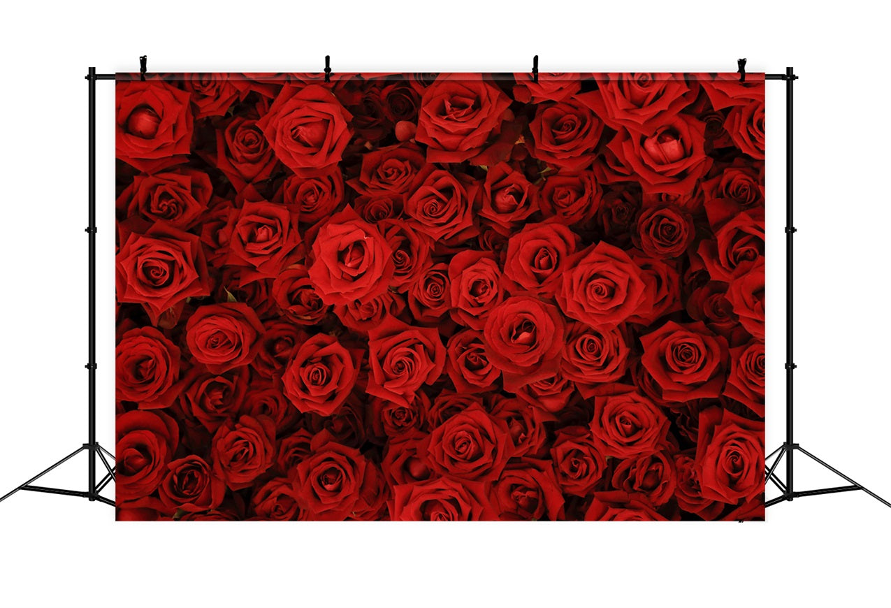 Toile de fond Photo Mariage Roses Rouges Mur Floral BRP12-384