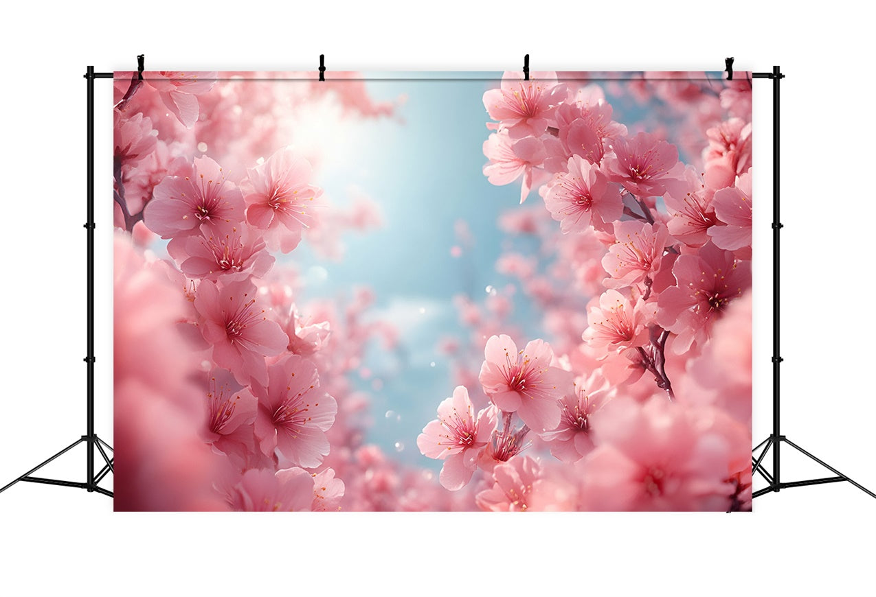 Toile de fond Photographie Printemps Fleurs de Cerisier Roses Douces BRP12-500