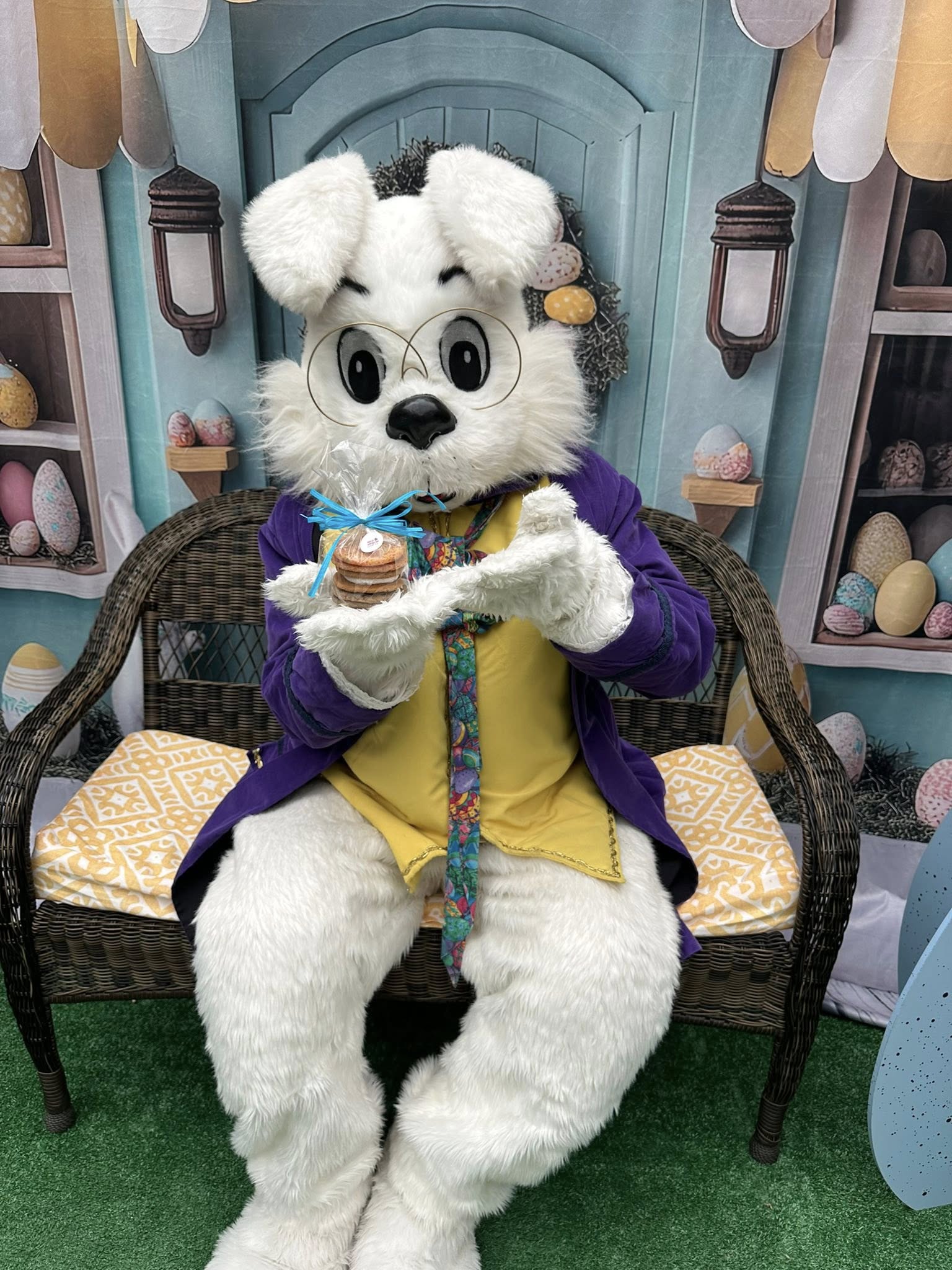 Fond Photo Pâques Scène Magique de Lapin Boutique BRP12-734