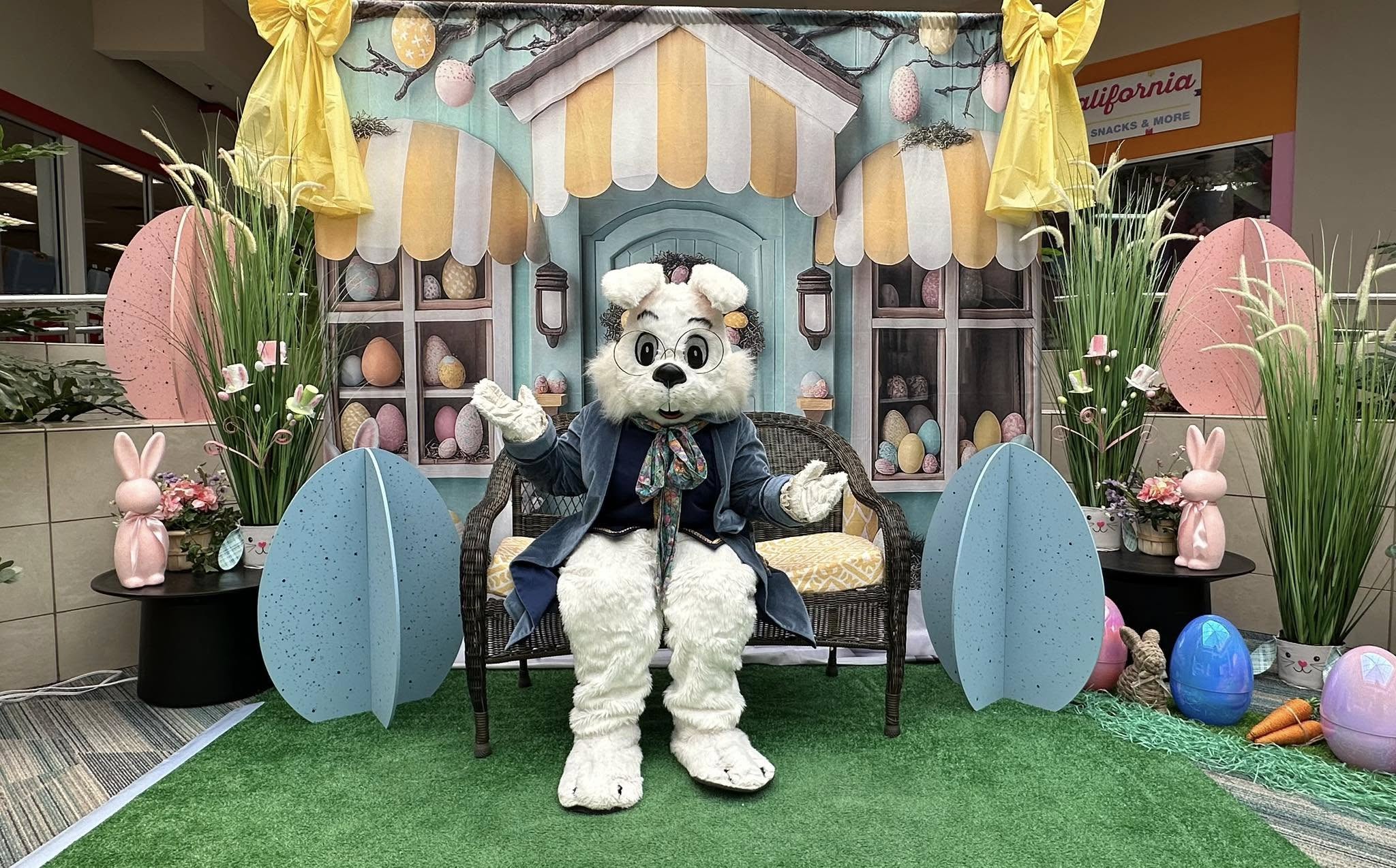 Fond Photo Pâques Scène Magique de Lapin Boutique BRP12-734