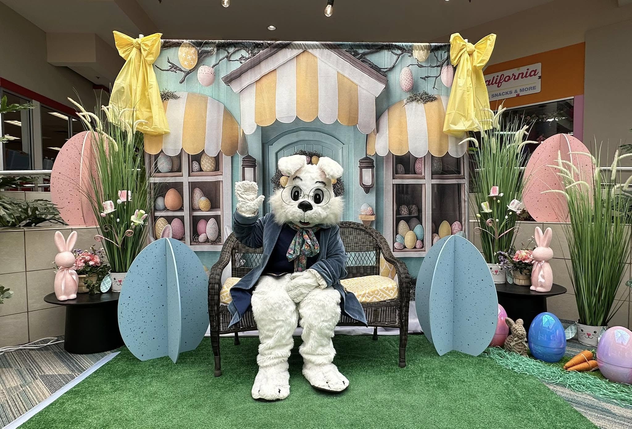 Fond Photo Pâques Scène Magique de Lapin Boutique BRP12-734