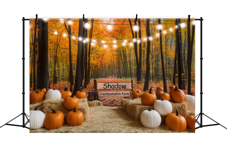 Toile de fond Automne Lumières Sentier Citrouille Forêt BRP57-177