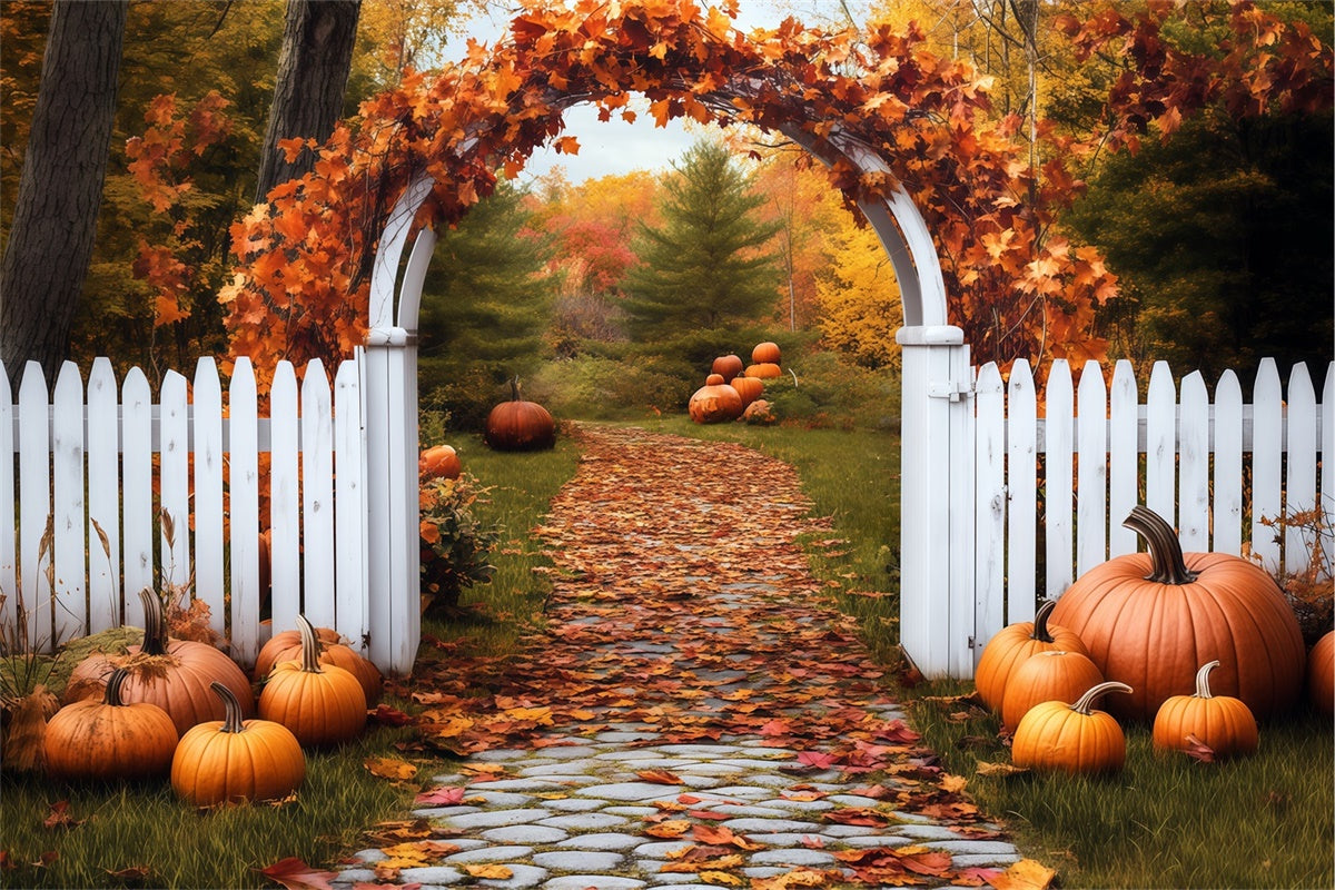 Toile de fond Déco Automne Arche Citrouille Sentier BRP57-202