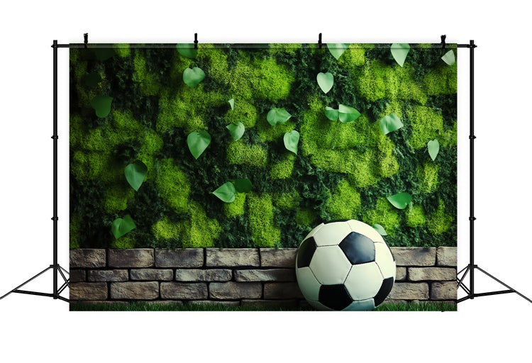 Toile de fond Photo Football Mur Mousse Soccer BRP57-296