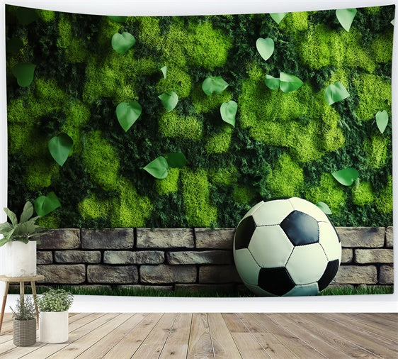 Toile de fond Photo Football Mur Mousse Soccer BRP57-296
