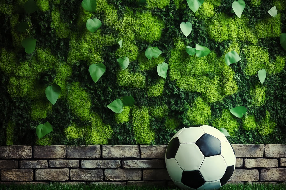 Toile de fond Photo Football Mur Mousse Soccer BRP57-296