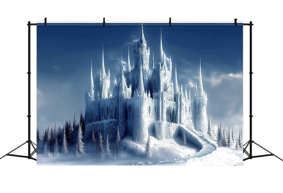 Toile de fond Hiver Château Majesté Gelée BRP57-355
