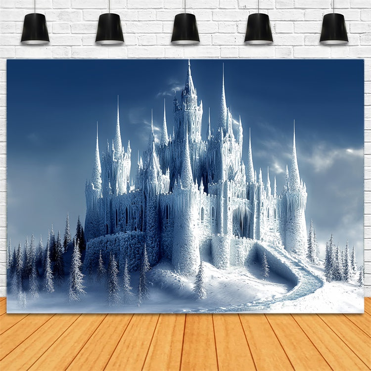 Toile de fond Hiver Château Majesté Gelée BRP57-355