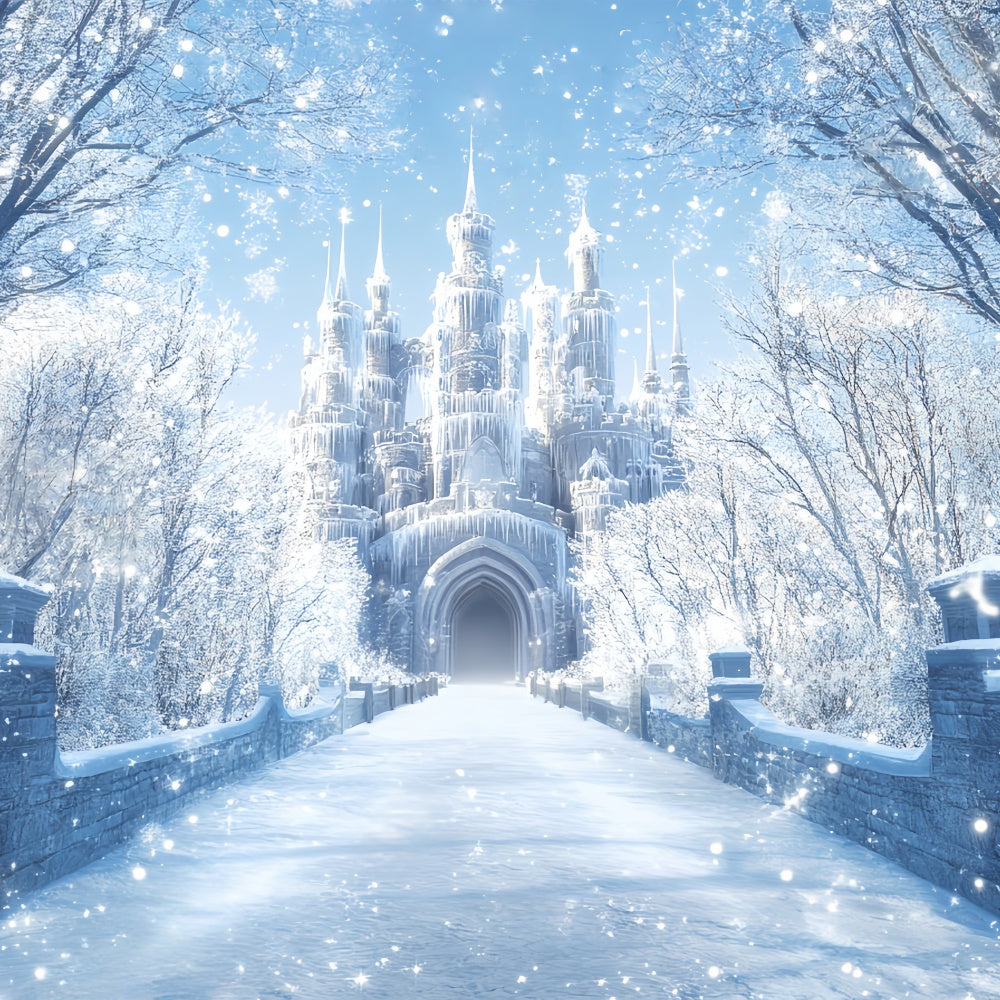 Toile de fond Hiver Lumière Matinale Château Hivernal BRP57-365
