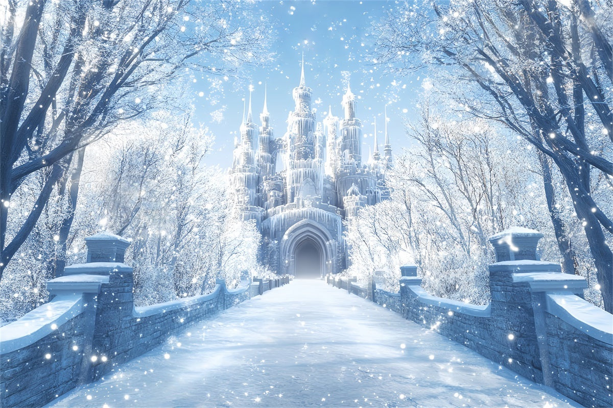 Toile de fond Hiver Lumière Matinale Château Hivernal BRP57-365