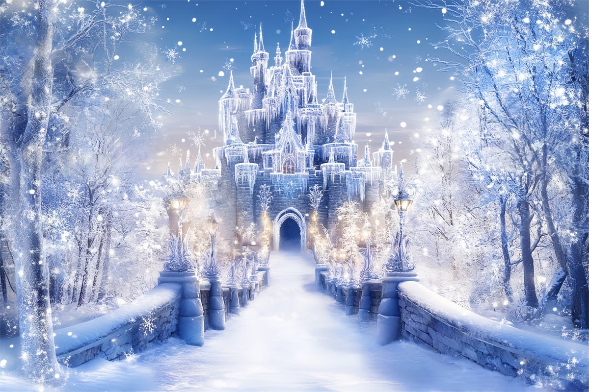 Toile de fond Hiver Entrée Château Givré BRP57-366
