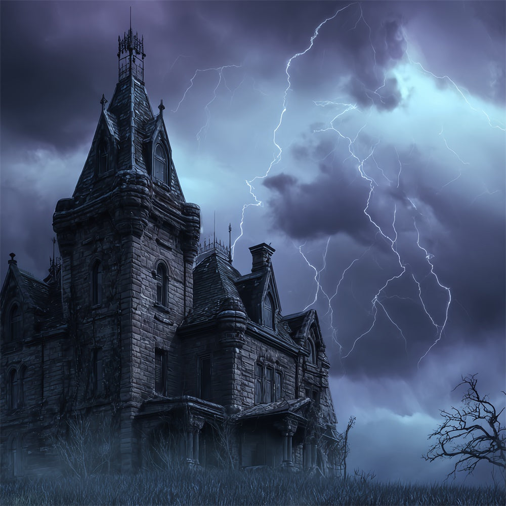 Toile de fond Photo Halloween Château de l’Orage Hanté BRP57-70