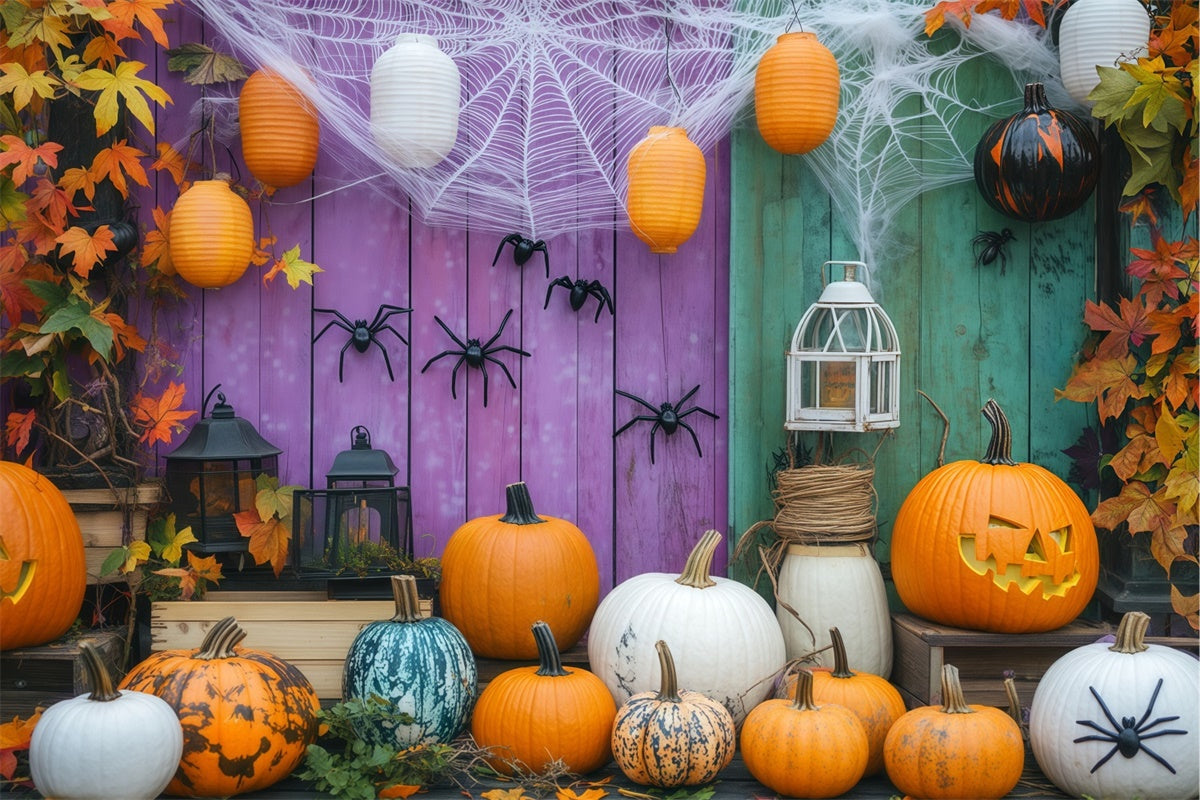 Toile de fond Halloween Mur de Citrouille et Toile d’Araignée BRP57-78