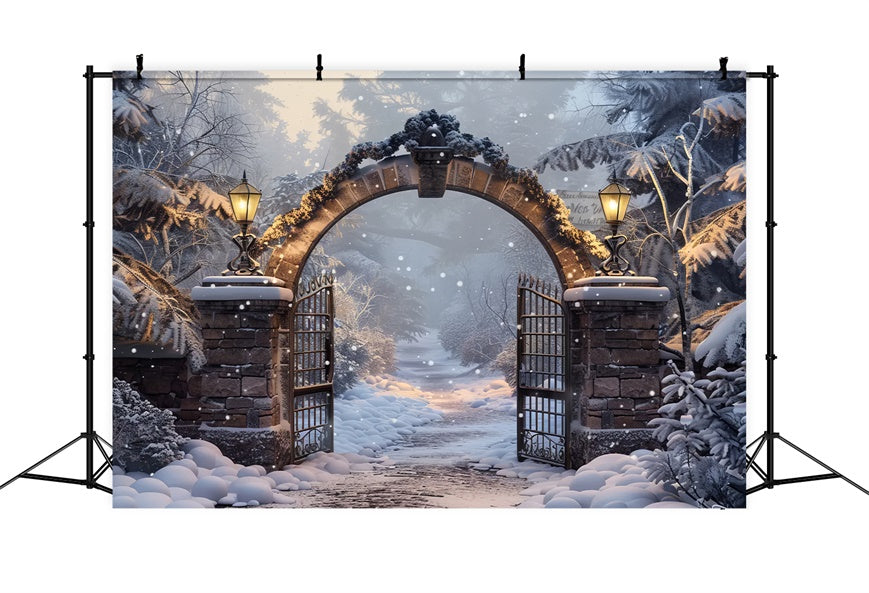 Toile de Fond Porte de la Forêt Hivernale de Noël BRP8-60