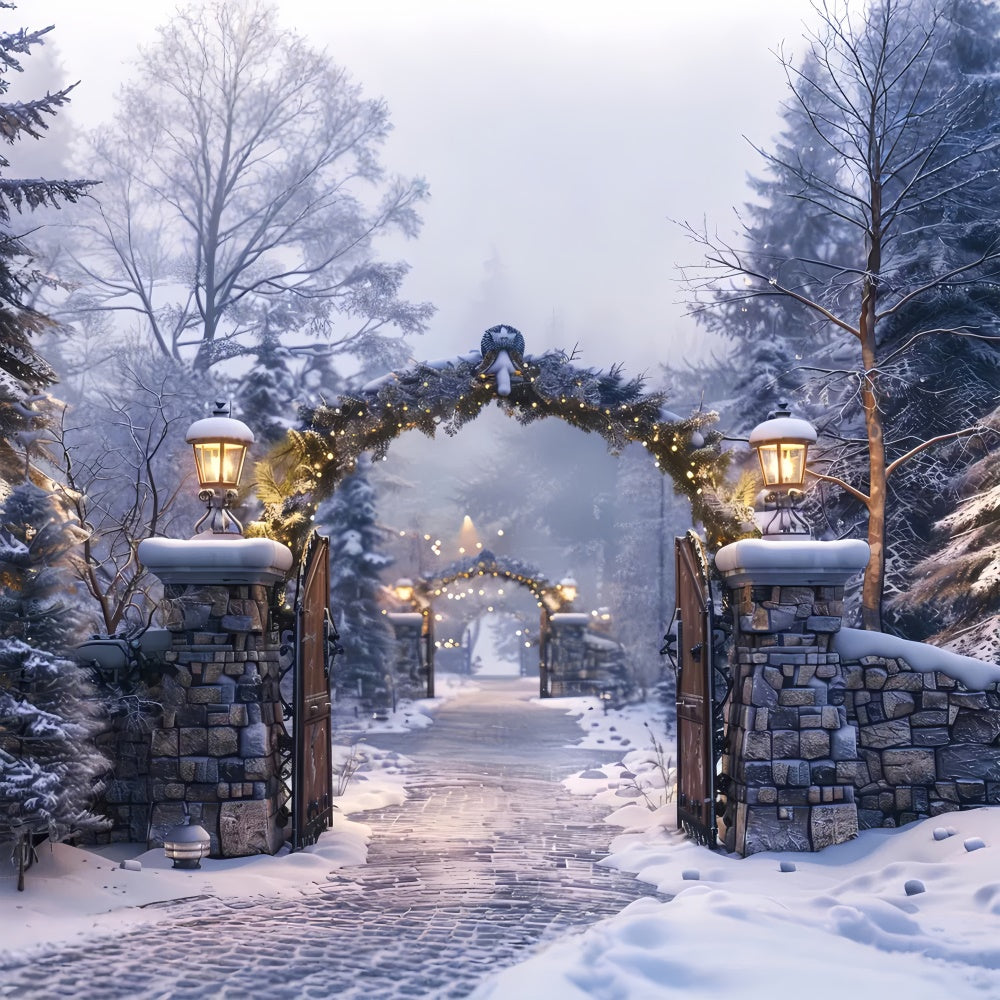 Toile de Fond Chemin sous Arche en Pierre lors d'une Nuit Hivernale de Noël BRP8-62